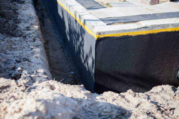 Professional Wet Basement Repair technician working in Mosheim, TN