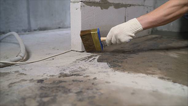 24/7 Emergency Wet Basement Repair experts in Mosheim, TN